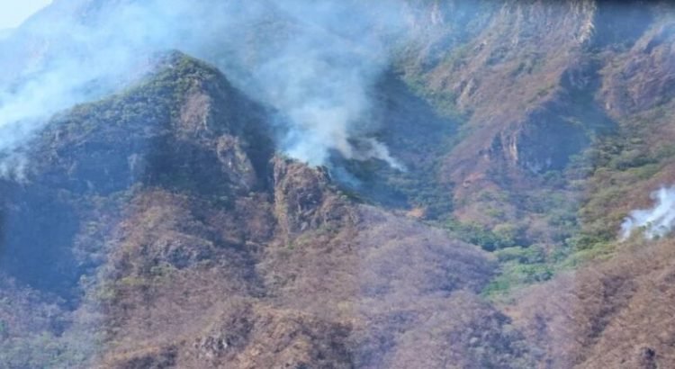 Sinaloa tiene tres incendios activos en la sierra, el más grande esta en Elota