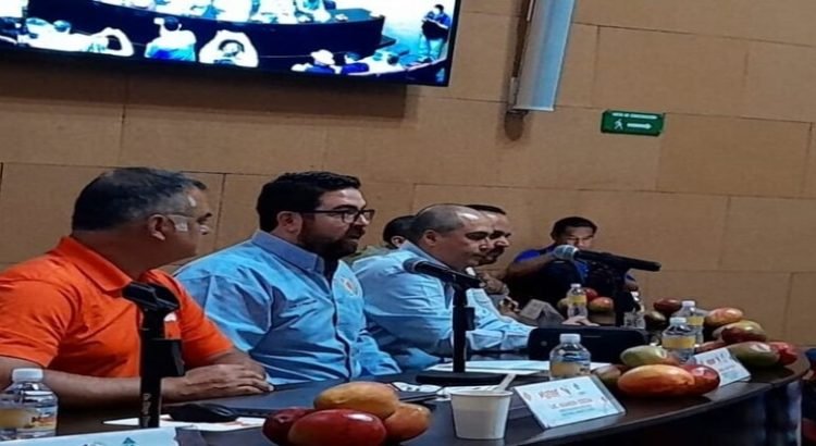 Productores de mango piden intervención del gobernador se oponen a planta procesadora