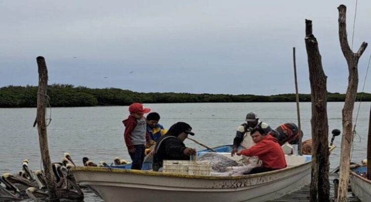 Pescadores de Sinaloa recibirán 300 motores marinos