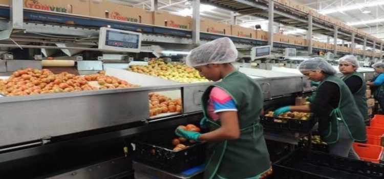 Sinaloa es el estado con los salarios más bajos del país