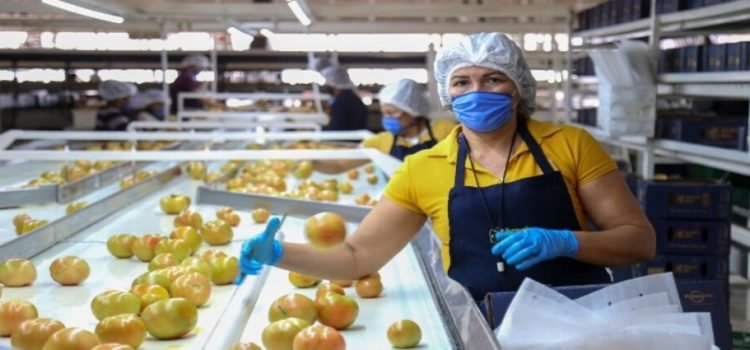 Sinaloa lidera crecimiento económico de México en el primer trimestre de 2024