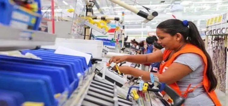 Sinaloa noveno lugar de participación femenina en el campo laboral Sinaloa noveno lugar de participación femenina en el campo laboral