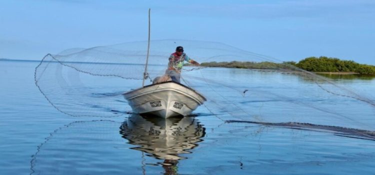 Dispersan recursos para el pago de Bienpesca en Sinaloa