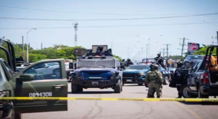 Denuncian 79 muertos y pérdidas millonarias por violencia en Sinaloa