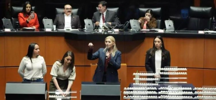 El Senado sortea más de 700 cargos judiciales rumbo a las elecciones de 2025