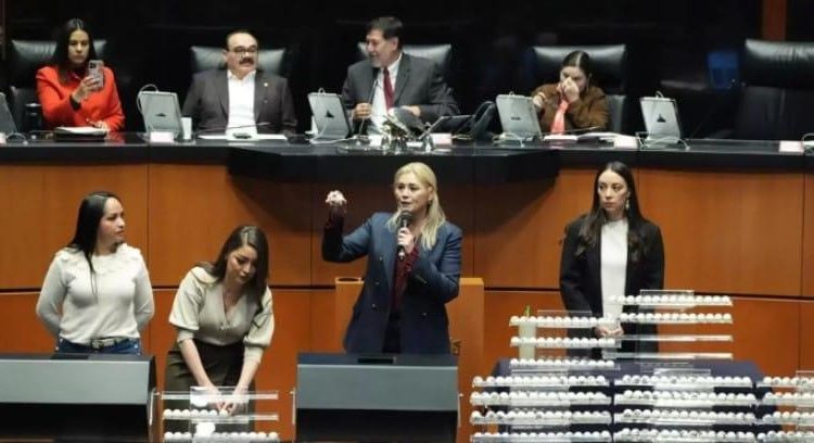 El Senado sortea más de 700 cargos judiciales rumbo a las elecciones de 2025