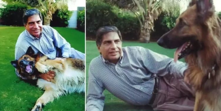 Ratan Tata: el magnate indio que aseguró una herencia millonaria para el cuidado de su perro