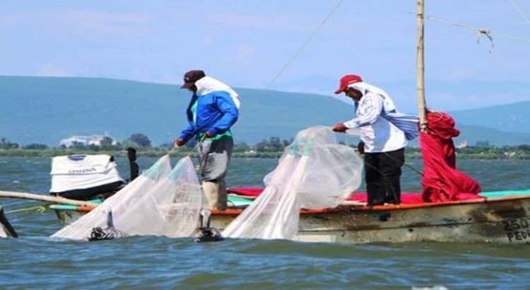 El Gobierno de Sinaloa apoya con 25mdp a pescadores