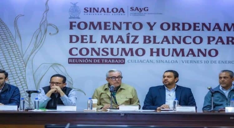 Rocha Moya busca acuerdos con productores para el precio del maíz