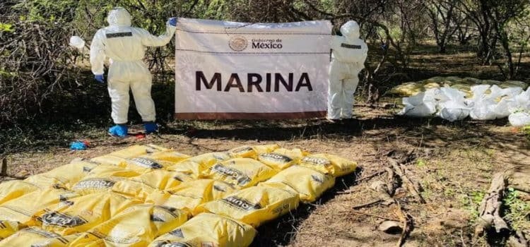 Aseguran y destruyen laboratorio clandestino con más de seis mil litros de droga Aseguran y destruyen laboratorio clandestino con más de seis mil litros de droga