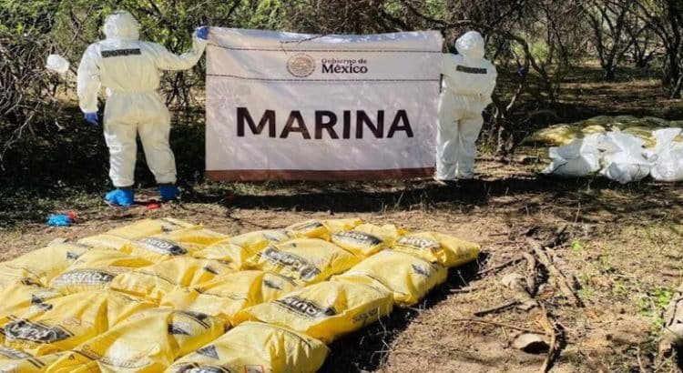 Aseguran y destruyen laboratorio clandestino con más de seis mil litros de droga