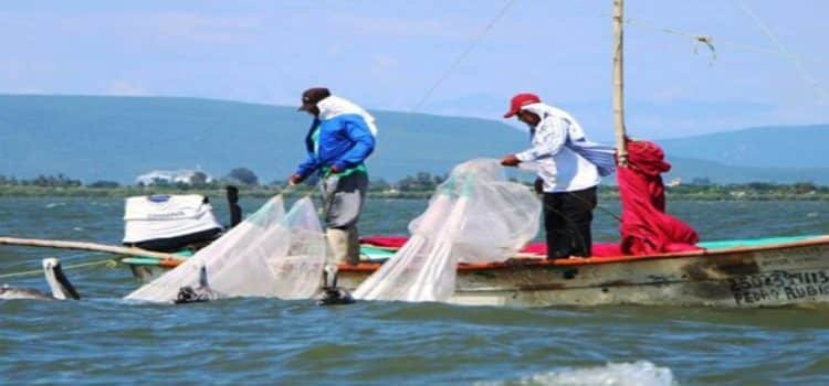 Pescadores de Sinaloa recibirán 11 mil pesos de Bienpesca Estatal y Federal Pescadores de Sinaloa recibirán 11 mil pesos de Bienpesca Estatal y Federal