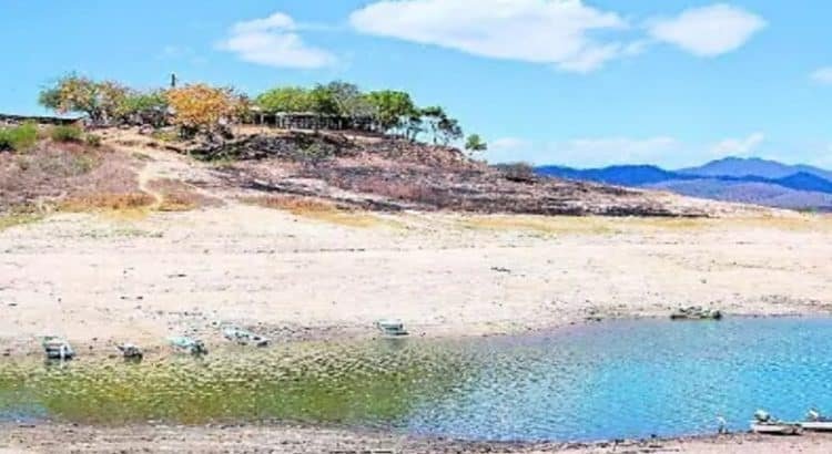 El gobierno destinará 12 millones de pesos para mitigar la intensa sequía en Sinaloa