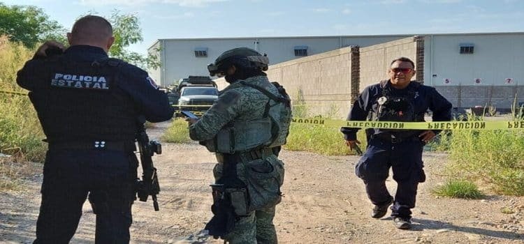 Asesinatos bajaron 34% respecto al pico de violencia en 2024,
