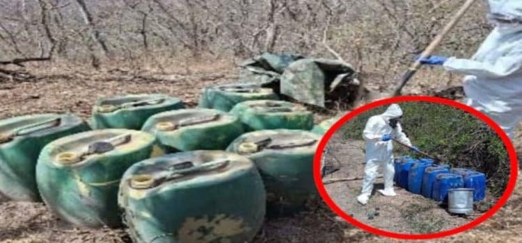 Aseguran y desmantelan 12 laboratorios clandestinos en Sinaloa