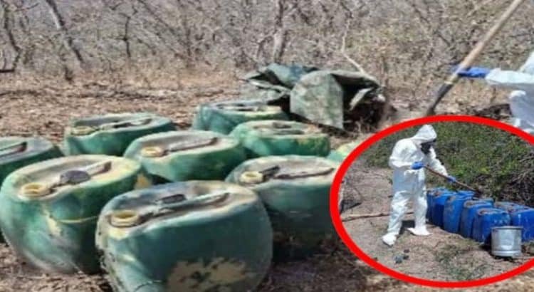 Aseguran y desmantelan 12 laboratorios clandestinos en Sinaloa