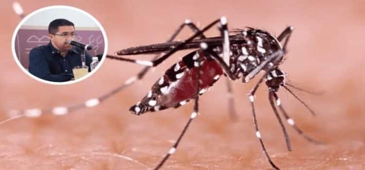 Sinaloa registra 4 muertes por dengue en 2025