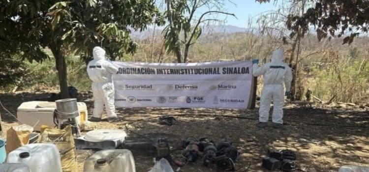 Destruyen 20 laboratorios clandestinos en Sinaloa