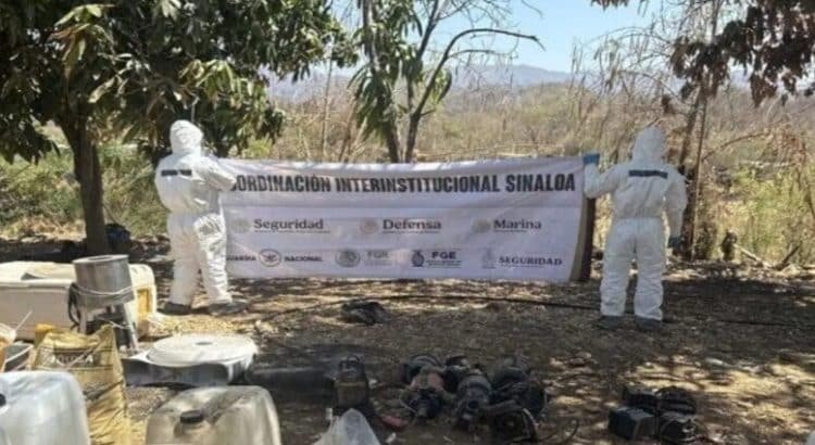 Destruyen 20 laboratorios clandestinos en Sinaloa