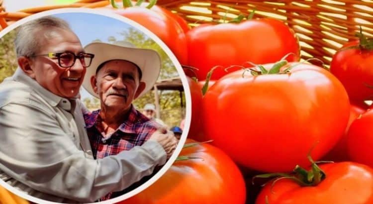 Rocha Moya expresa respaldo a productores de tomate ante sanciones de EU