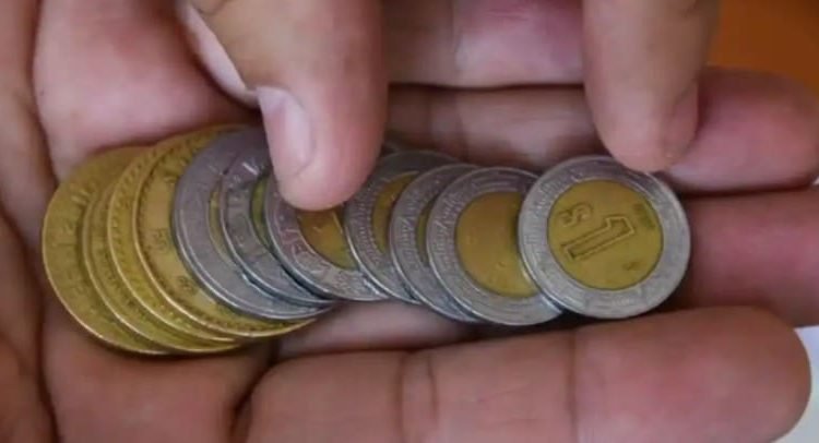 “Blindan” diputados las propinas de los trabajadores