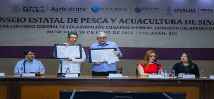 Sinaloa firma convenios de colaboración con Conapesca e IMIPAS Sinaloa firma convenios de colaboración con Conapesca e IMIPAS