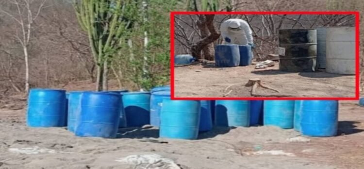 Aseguran en Culiacán cuatro centros químicos y dos secaderos de marihuana