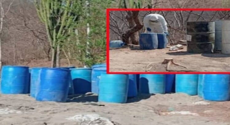 Aseguran en Culiacán cuatro centros químicos y dos secaderos de marihuana