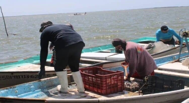 Sinaloa refuerza estrategia de inspección y vigilancia pesquera para frenar la pesca ilegal 