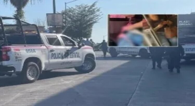 Enfrentamiento armado deja a empleada de gobierno municipal herida