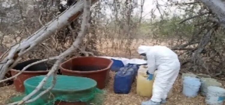 Aseguran en Culiacán y Navolato 6 áreas de concentración de sustancias y un laboratorio inactivo