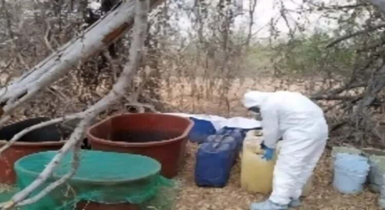 Aseguran en Culiacán y Navolato 6 áreas de concentración de sustancias y un laboratorio inactivo