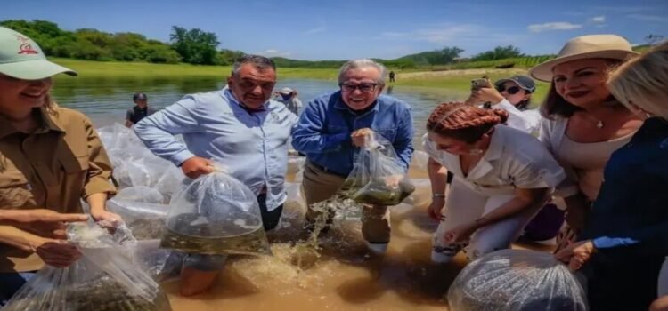Arranca Rocha Moya el Programa de Repoblamiento de Presas y Embalses 2025