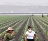 Inician campesinos huelga de 72 horas en California