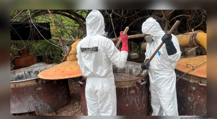 Aseguran narcolaboratorio valuado en más de 80 millones de pesos en Sinaloa