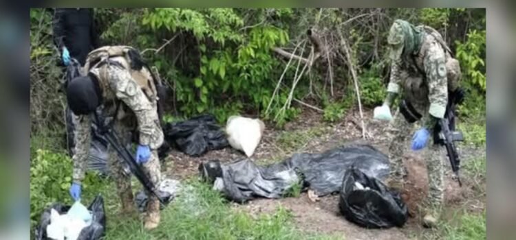 Golpe al narco en Sinaloa de más de mil 350 mdp