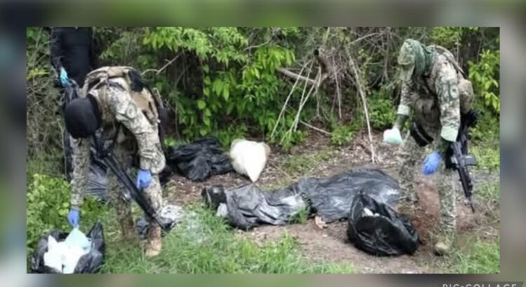 Golpe al narco en Sinaloa de más de mil 350 mdp