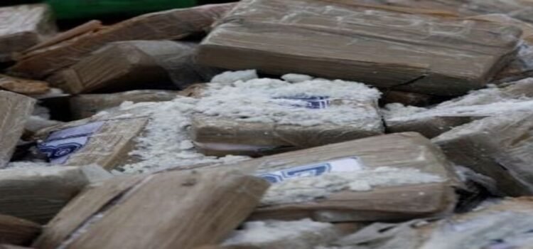 Aseguran más de 600 kilos de drogas en Sinaloa