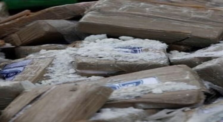Aseguran más de 600 kilos de drogas en Sinaloa