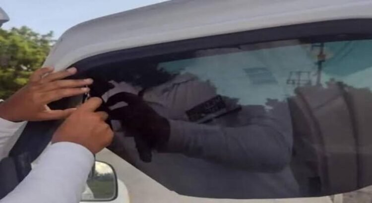 Sinaloa aplicará multas por polarizado excesivo en autos