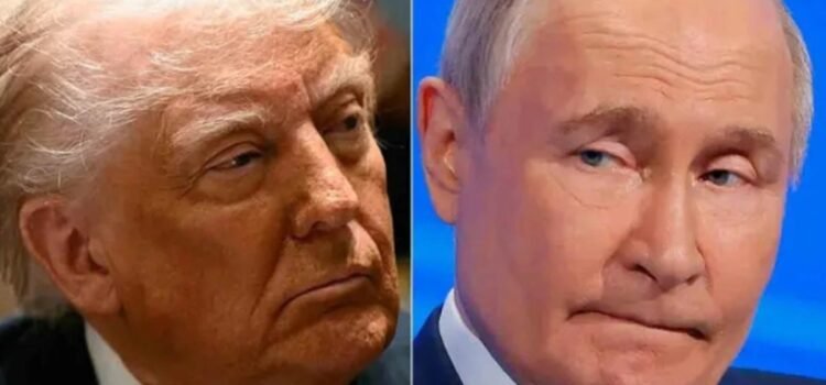 Acepta Putin propuesta de reunión de Trump Acepta Putin propuesta de reunión de Trump
