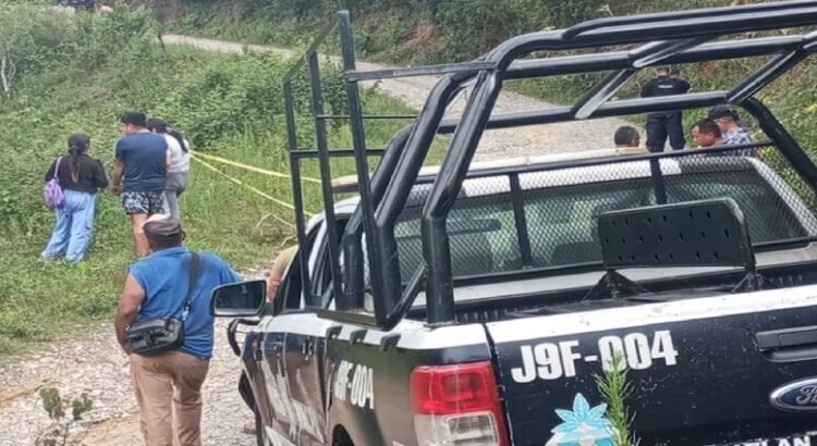 Sinaloa ha perdido 47 policías durante actual ola de violencia