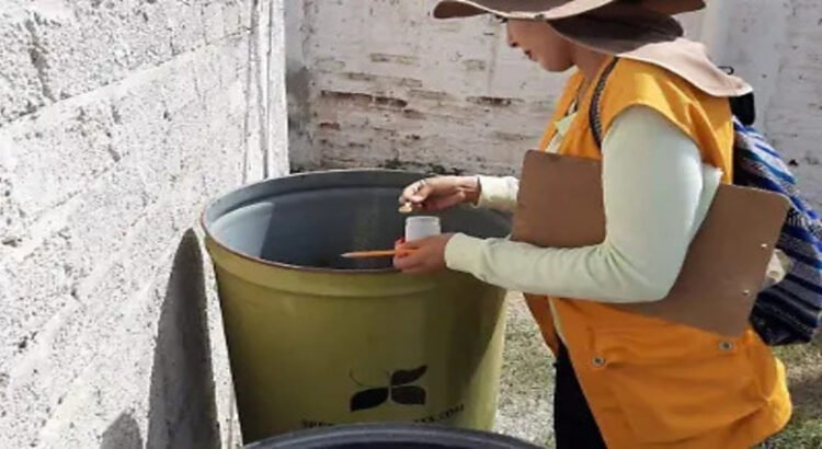 Aumentan acciones contra el dengue en Sinaloa