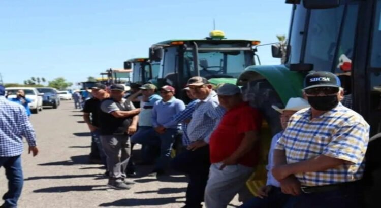 Sinaloa reanuda pagos de apoyo de 750 pesos a productores