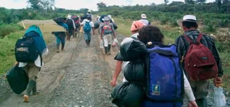 Número de desplazados en Sinaloa es mayor a la reportada