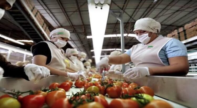 Economía de Sinaloa crece 2.8% en 2025 y supera promedio nacional, reporta INEGI